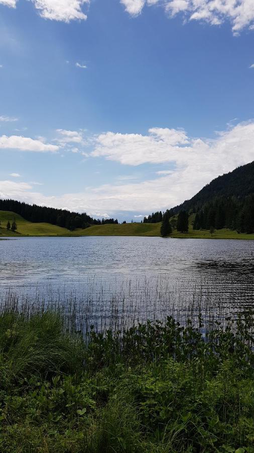 Tauglerei Appartement Bernstein In Den Zauberbergen Санкт-Коломан Экстерьер фото