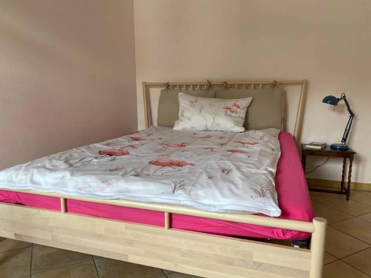 Tauglerei Appartement Bernstein In Den Zauberbergen Санкт-Коломан Экстерьер фото